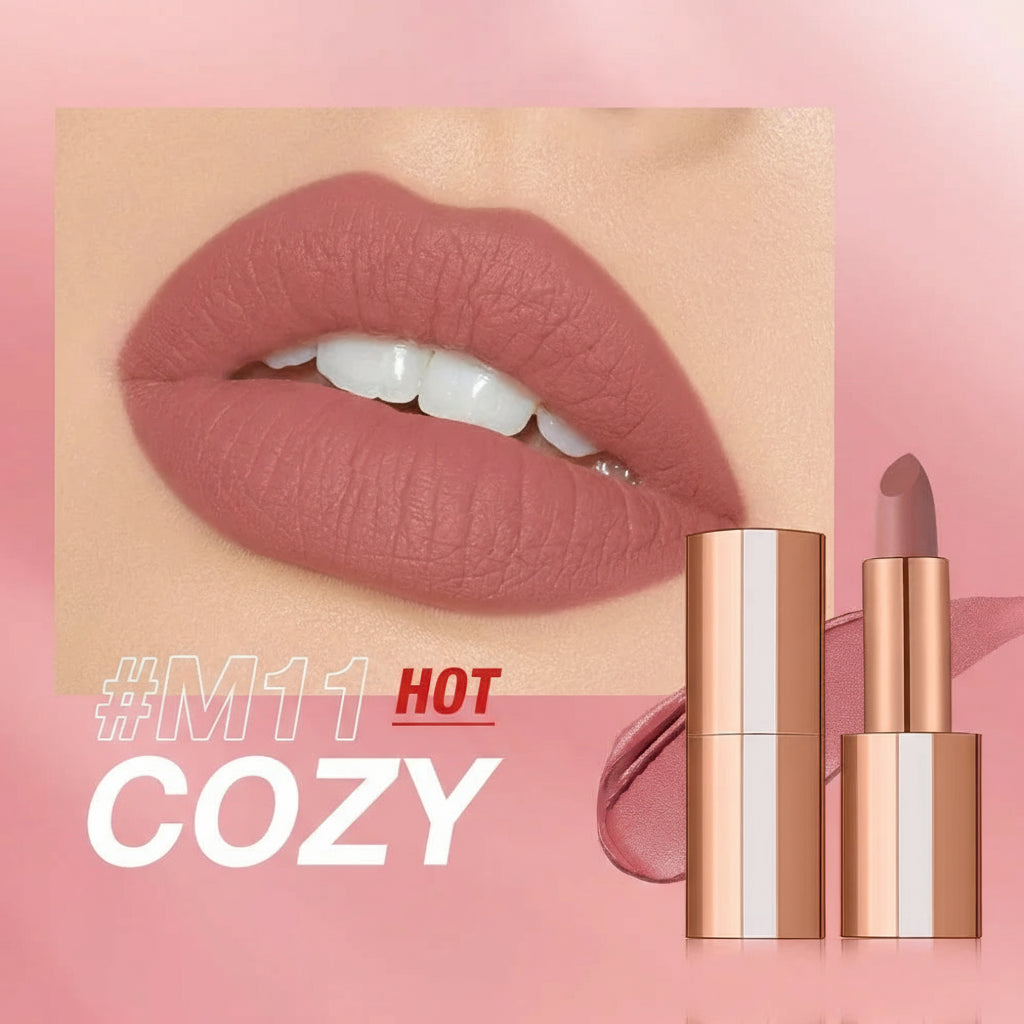 Matte Lipstick Long Lasting Waterproof Lip Stick Smudge-Free Classic Highly Pigmented Velvet Finish Lip Tint Makeup