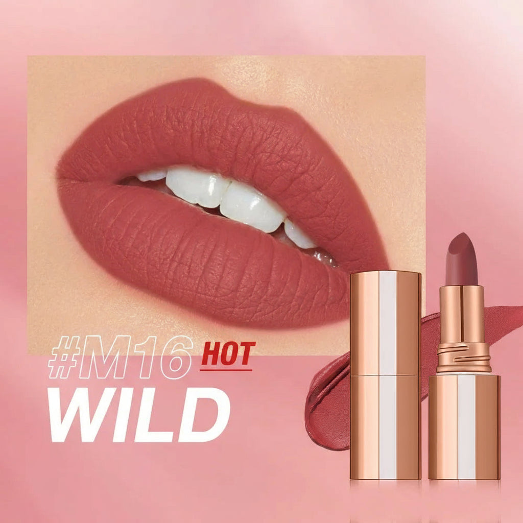 Matte Lipstick Long Lasting Waterproof Lip Stick Smudge-Free Classic Highly Pigmented Velvet Finish Lip Tint Makeup