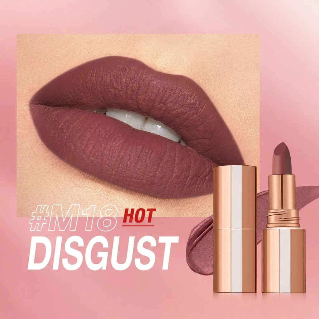 Matte Lipstick Long Lasting Waterproof Lip Stick Smudge-Free Classic Highly Pigmented Velvet Finish Lip Tint Makeup